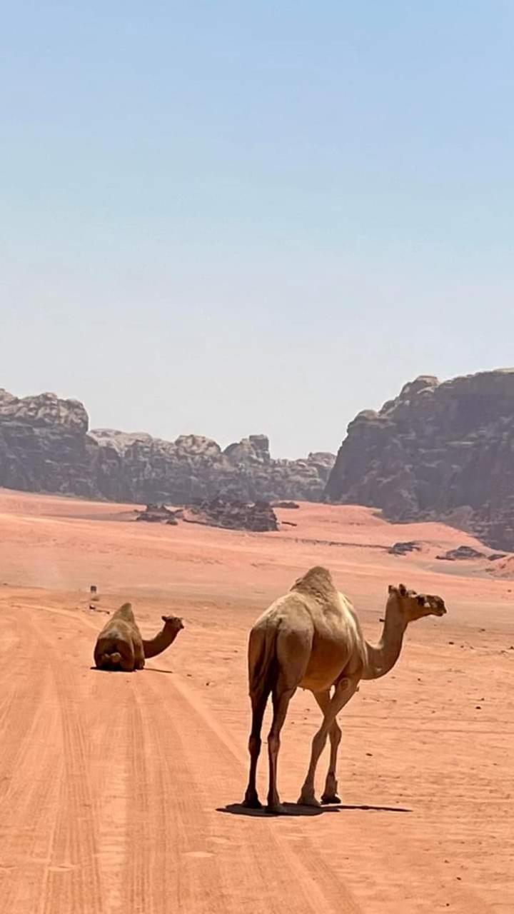 Enad Desert Camp Wadi Rum Exteriér fotografie