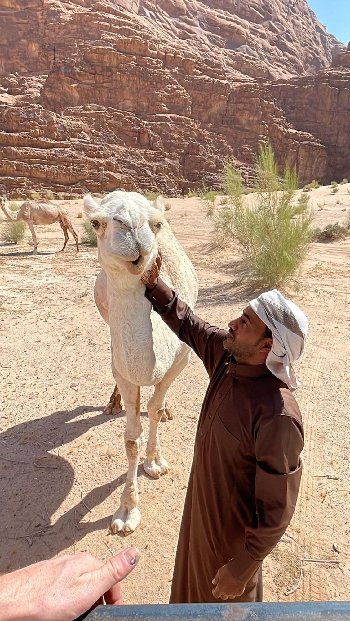 Enad Desert Camp Wadi Rum Exteriér fotografie